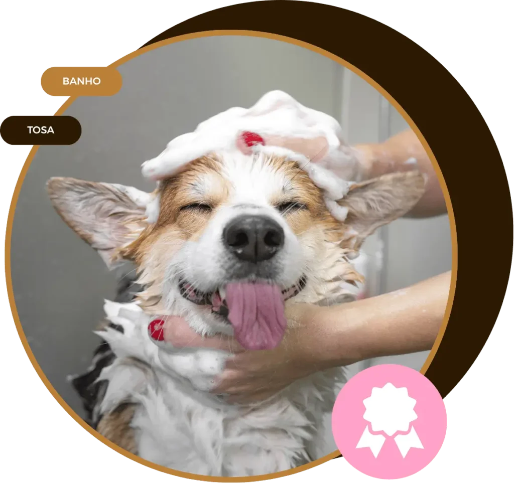 pet shop em Terra Preta, banho e tosa em Mairiporã, ração para cães e gatos, ração para aves