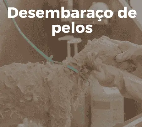 o que fazer para melhorar o pelo do cachorro?, qual a melhor ração para filhote de cachorro?, como deixar meu gato mais saudável?, onde encontrar banho e tosa em terra preta mairiporã?, qual a melhor forma de cuidar do pet no calor?, banho e tosa: com que frequência devo levar meu cachorro?, como escolher a ração ideal para meu cachorro?, o que meu papagaio pode comer além de ração?, qual a diferença entre ração premium e ração comum?, como evitar pulgas e carrapatos em cães e gatos?