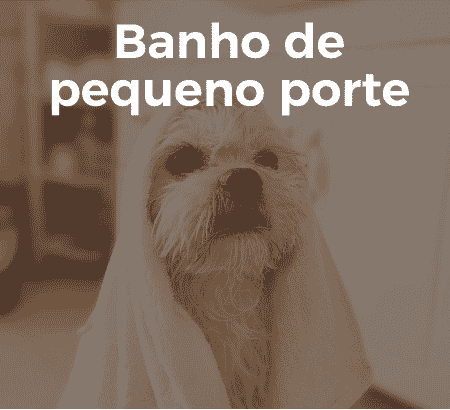 o que fazer para melhorar o pelo do cachorro?, qual a melhor ração para filhote de cachorro?, como deixar meu gato mais saudável?, onde encontrar banho e tosa em terra preta mairiporã?, qual a melhor forma de cuidar do pet no calor?, banho e tosa: com que frequência devo levar meu cachorro?, como escolher a ração ideal para meu cachorro?, o que meu papagaio pode comer além de ração?, qual a diferença entre ração premium e ração comum?, como evitar pulgas e carrapatos em cães e gatos?