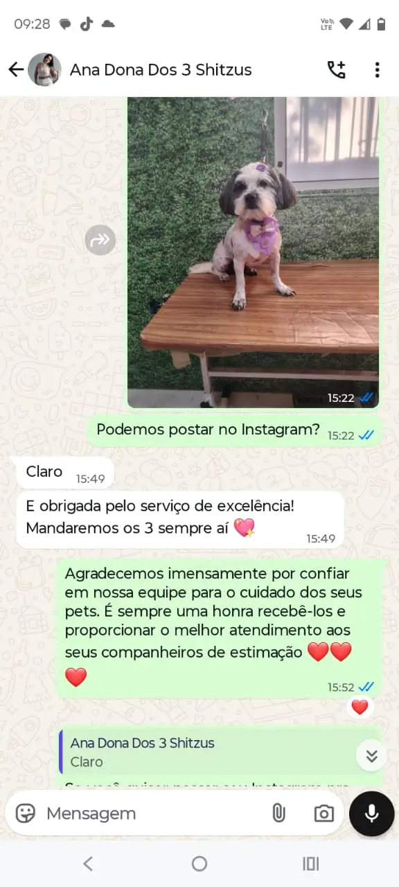 depoimento cliente petshop banho e tosa terra preta mairipora conversa de whatsapp com cliente satisfeito