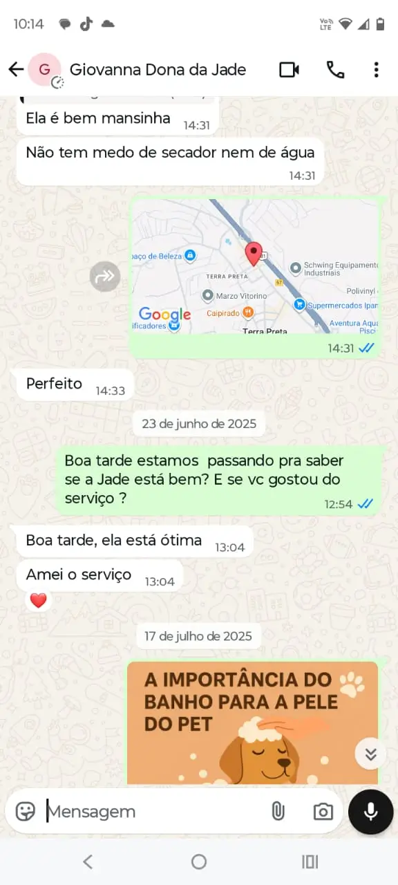 depoimento cliente petshop banho e tosa terra preta mairipora conversa de whatsapp com cliente satisfeito