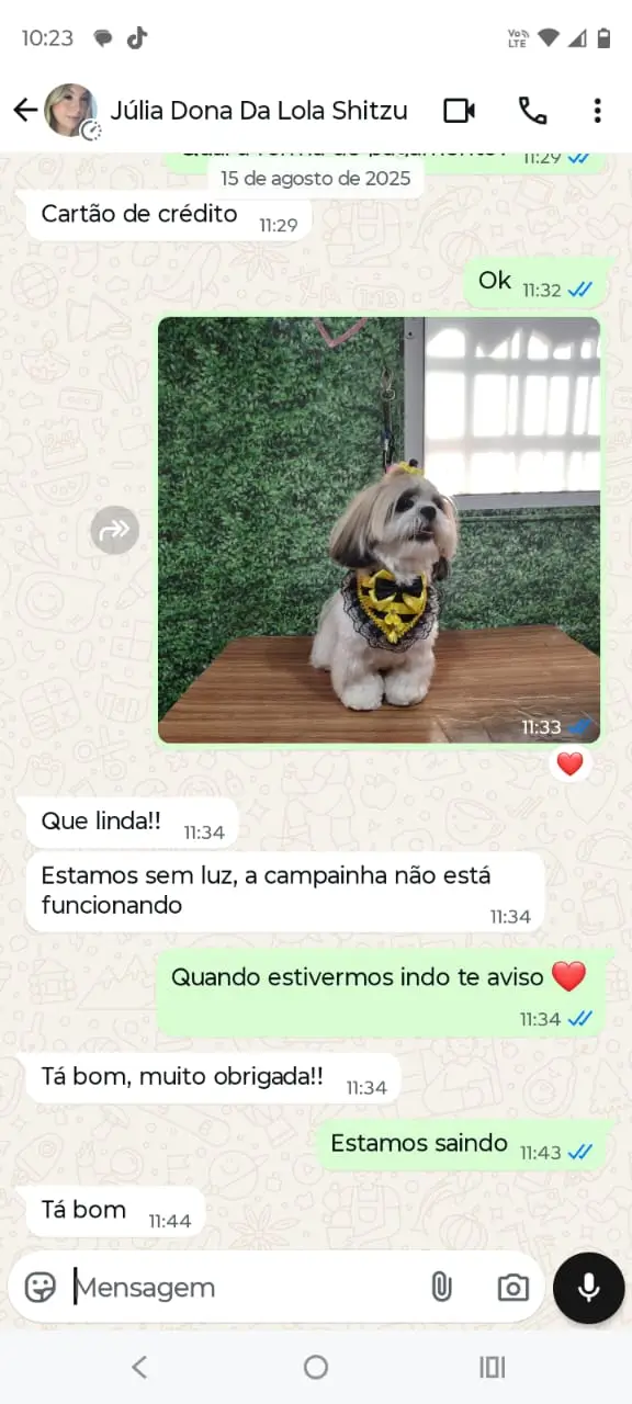 depoimento cliente petshop banho e tosa terra preta mairipora conversa de whatsapp com cliente satisfeito