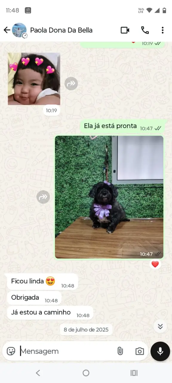 depoimento cliente petshop banho e tosa terra preta mairipora conversa de whatsapp com cliente satisfeito