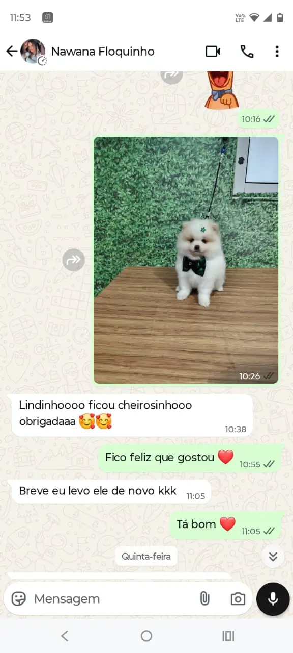 depoimento cliente petshop banho e tosa terra preta mairipora conversa de whatsapp com cliente satisfeito